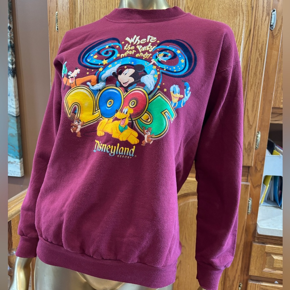 Disneyland Maroon Sweater with Graphic Design